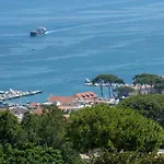 Coralba
