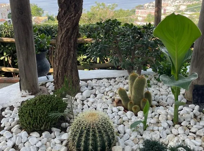 Affittacamere Coralba