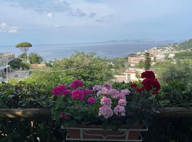 Coralba Affittacamere Casamicciola Terme