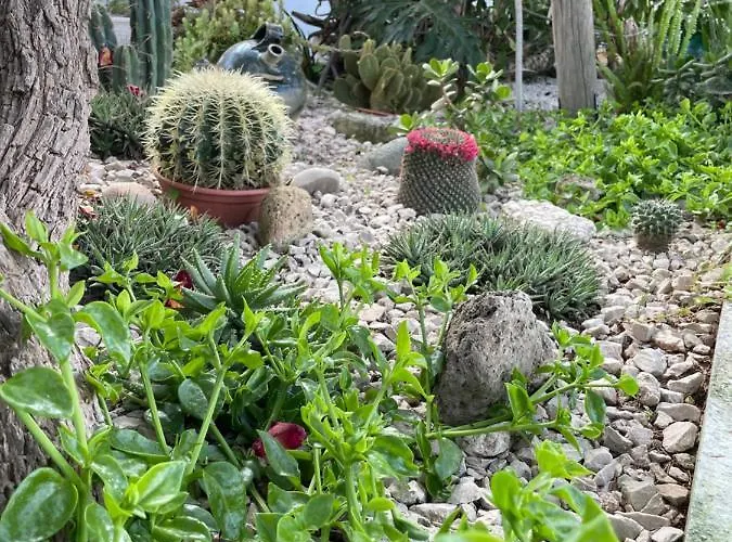 Coralba Affittacamere 4*