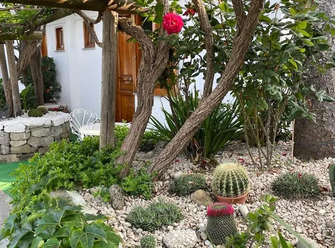 Affittacamere Coralba