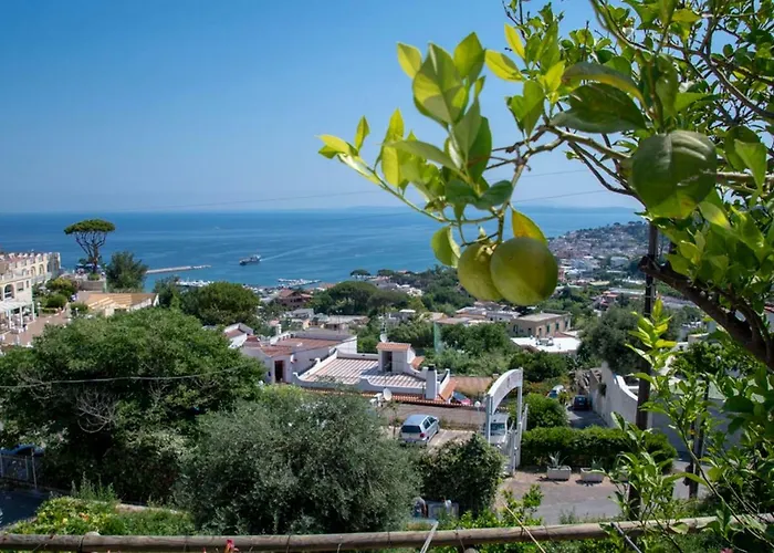 Coralba Affittacamere Casamicciola Terme